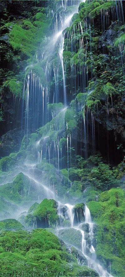 交通高峰期