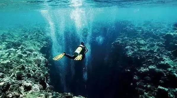 逃离水虎鱼湖